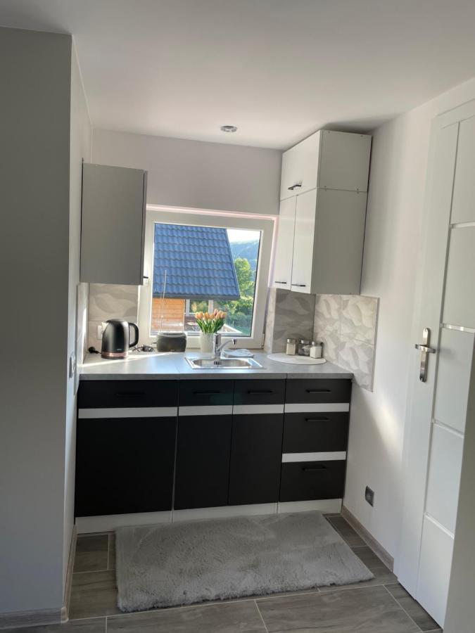Pejzaze Soliny Apartment Bobrka