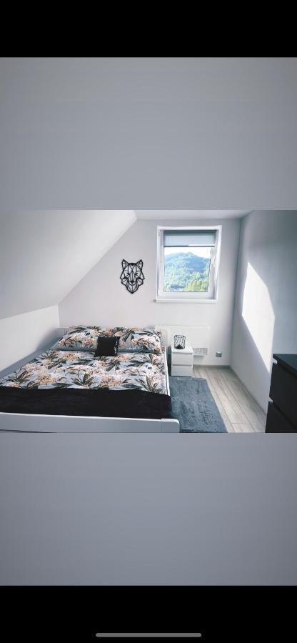Apartment Pejzaze Soliny